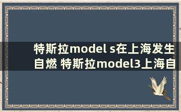 特斯拉model s在上海发生自燃 特斯拉model3上海自燃